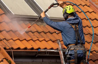 Démoussage et hydrofuge de toiture à Genouilly